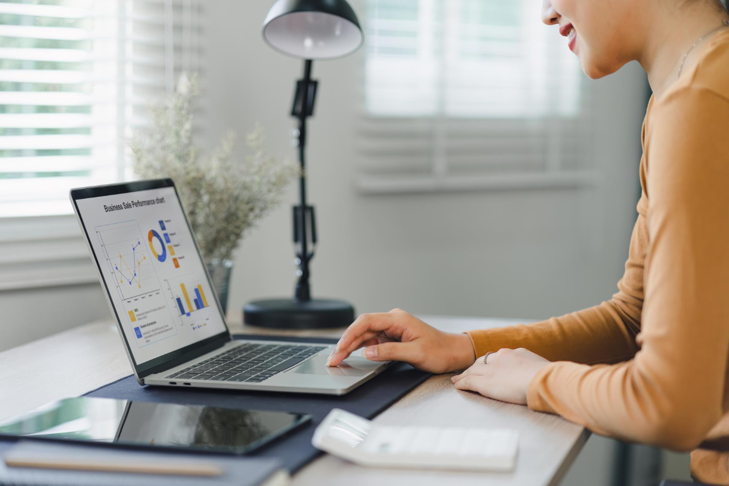 OpenCart для бизнеса: как быстро создать продающий интернет-магазин с нуля на готовой CMS без лишних затрат