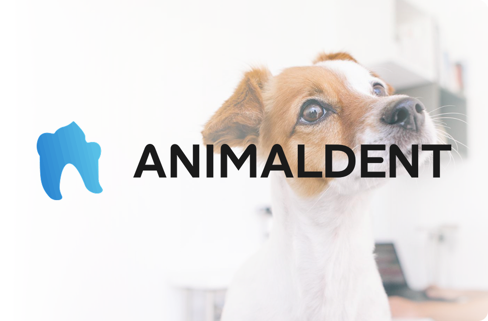 Разработка корпоративного сайта ветеринарной клиники